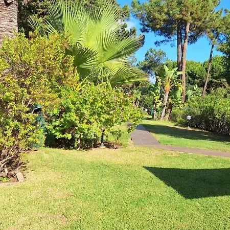 Sun And Serenity Apartment