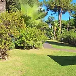 Sun And Serenity Apartment